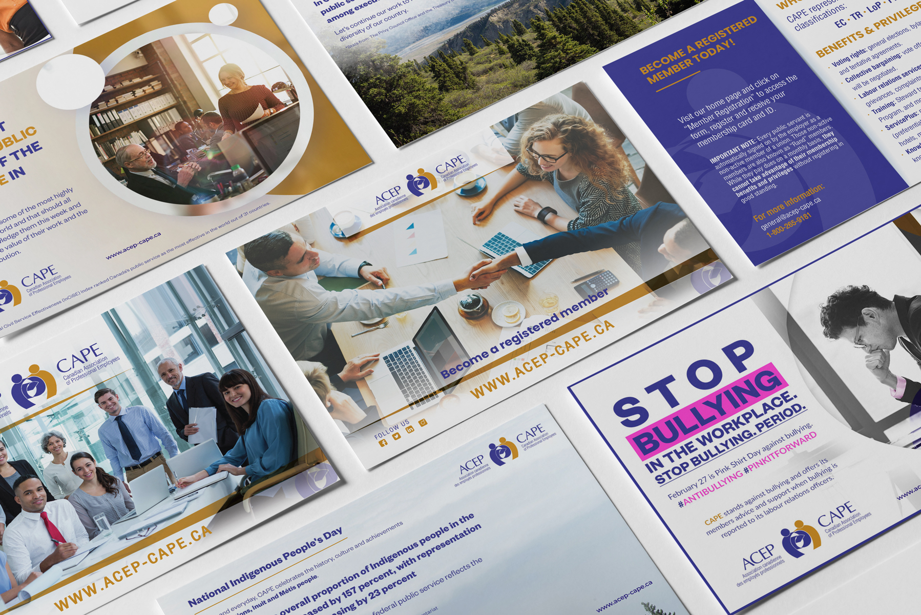 The Canadian Association Of Professional Employees
