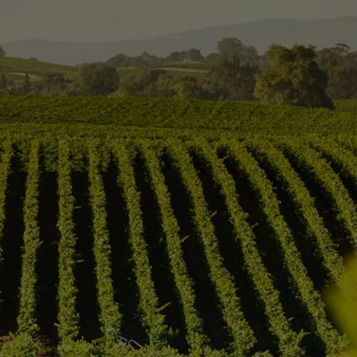 West Sonoma