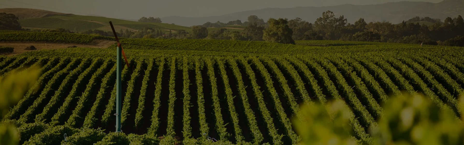 West Sonoma